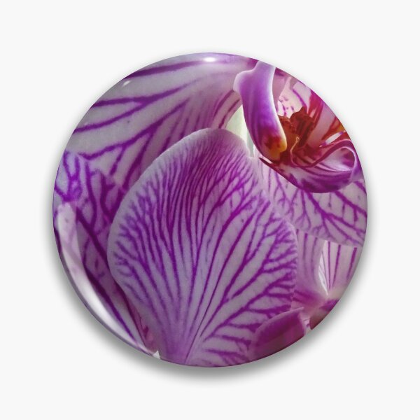 Artikelvorschau, CLOSE UP OF PINK STRIPE ORCHID FLOWERS entworfen und verkauft von mymumsart.