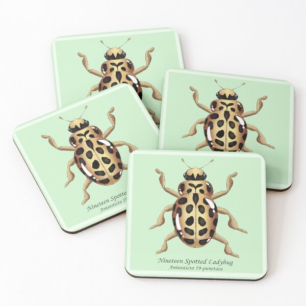 Item preview, nineteen spotted ladybug designed and sold by dinosaphira99.