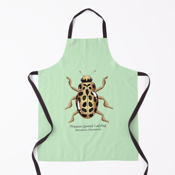 Item preview, nineteen spotted ladybug designed and sold by dinosaphira99.