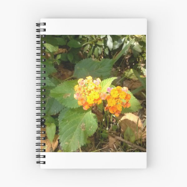 Item preview, Yellow and Orange Flowers designed and sold by burblebubs.