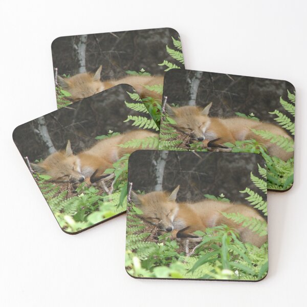Item preview, Fox Nap designed and sold by Coolstuff2buy.