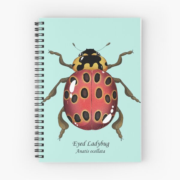 Item preview, Eyed ladybug designed and sold by dinosaphira99.