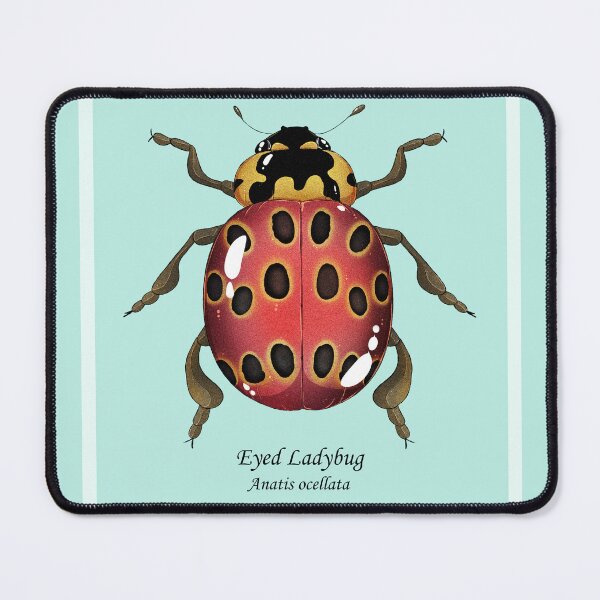 Item preview, Eyed ladybug designed and sold by dinosaphira99.