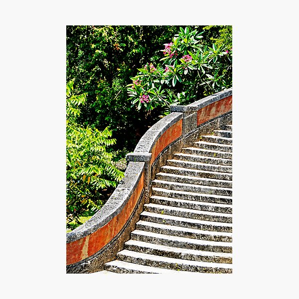 Item preview, Vizcaya stairs designed and sold by cromagnon.