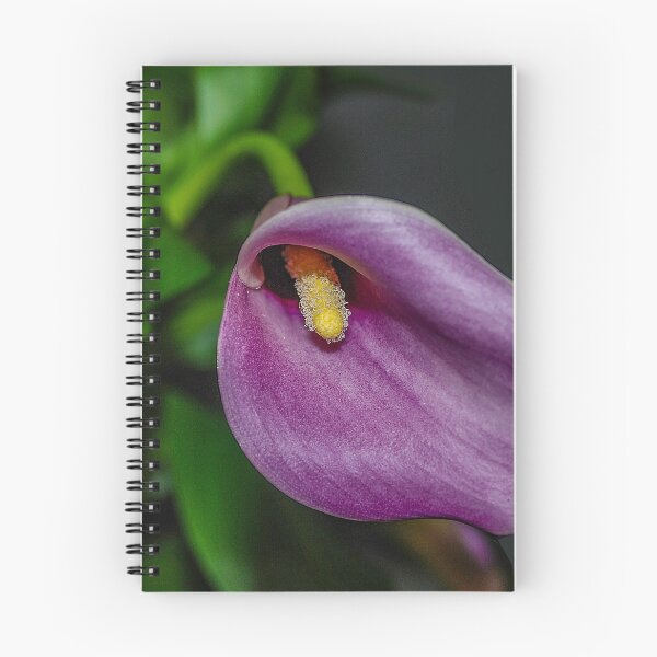 Item preview, Calla Lily designed and sold by Bryan Spellman.