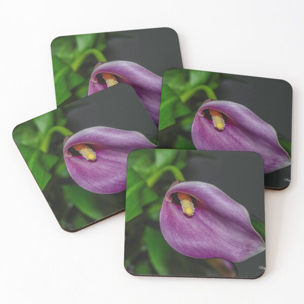 Item preview, Calla Lily designed and sold by Bryan Spellman.
