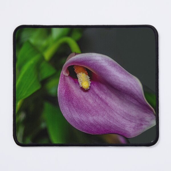 Item preview, Calla Lily designed and sold by Bryan Spellman.