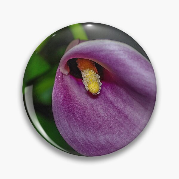 Item preview, Calla Lily designed and sold by Bryan Spellman.