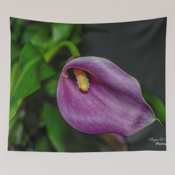 Item preview, Calla Lily designed and sold by Bryan Spellman.