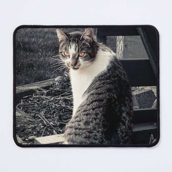 Item preview, Barn Cat designed and sold by Steve Walser.