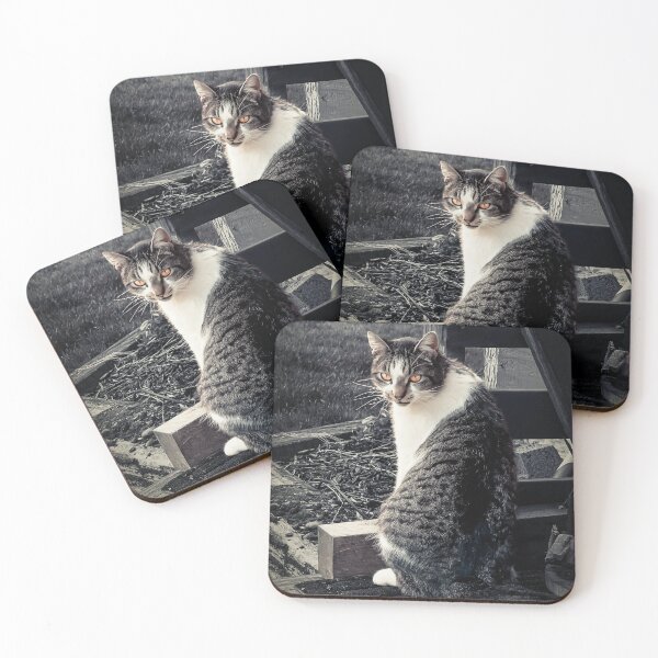 Item preview, Barn Cat designed and sold by Steve Walser.