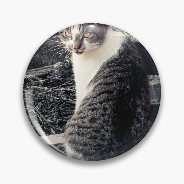 Item preview, Barn Cat designed and sold by Steve Walser.