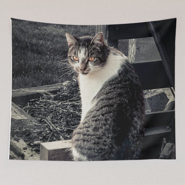 Item preview, Barn Cat designed and sold by Steve Walser.