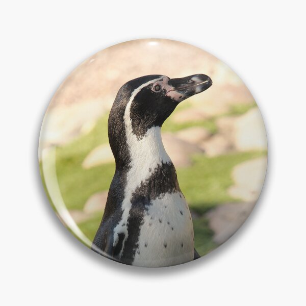 Item preview, Waterside humboldt penguin vertical exploris designed and sold by eddiebarronshop.