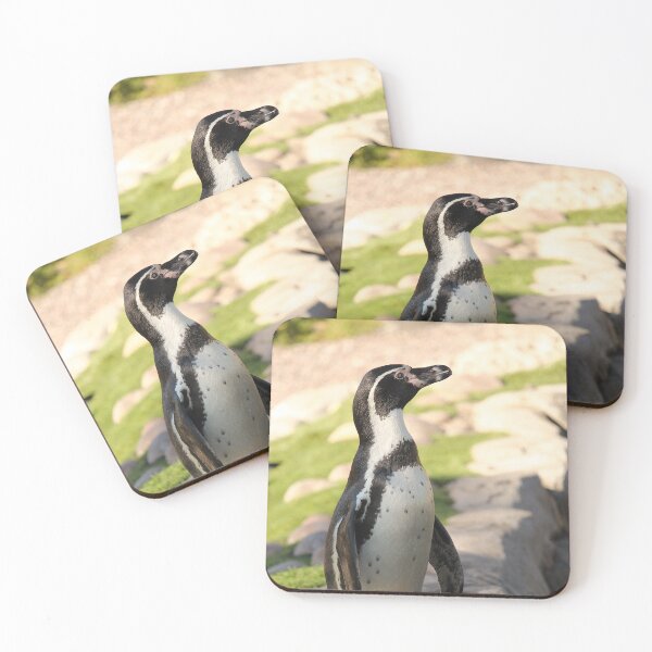 Item preview, Waterside humboldt penguin vertical exploris designed and sold by eddiebarronshop.