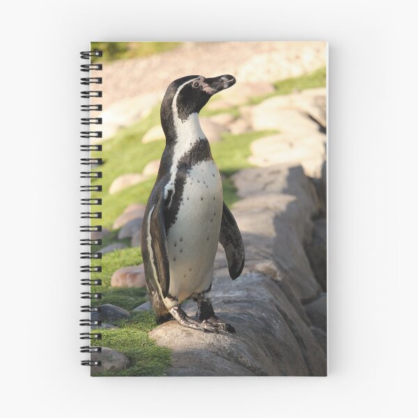 Item preview, Waterside humboldt penguin vertical exploris designed and sold by eddiebarronshop.