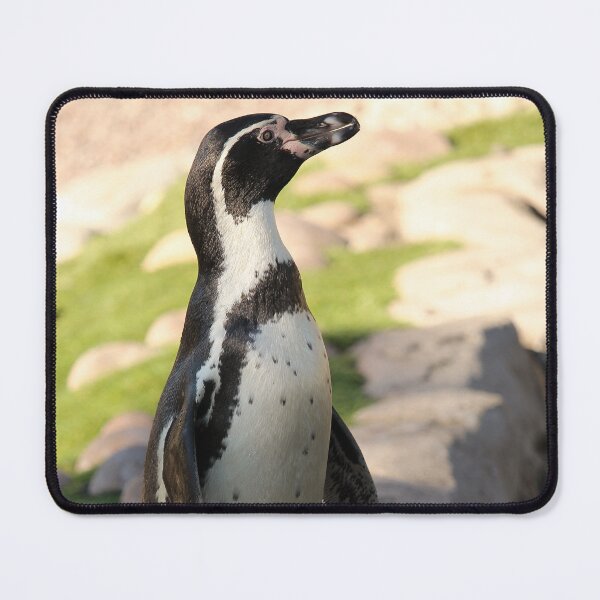 Item preview, Waterside humboldt penguin vertical exploris designed and sold by eddiebarronshop.