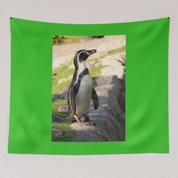 Item preview, Waterside humboldt penguin vertical exploris designed and sold by eddiebarronshop.