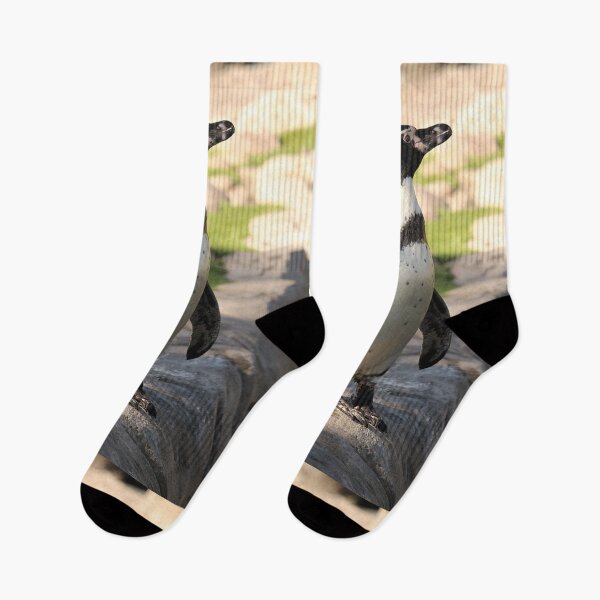 Item preview, Waterside humboldt penguin vertical exploris designed and sold by eddiebarronshop.