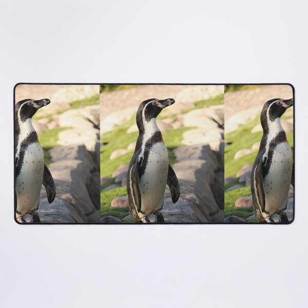 Item preview, Waterside humboldt penguin vertical exploris designed and sold by eddiebarronshop.
