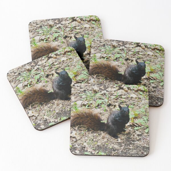 Item preview, Black squirrel designed and sold by Shulie1.