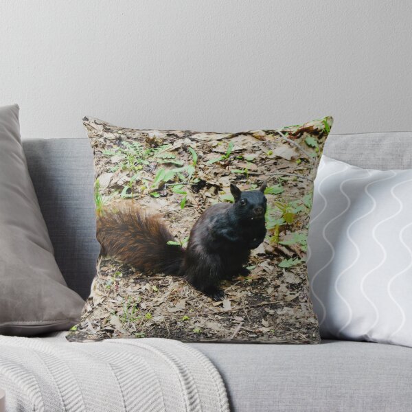 Item preview, Black squirrel designed and sold by Shulie1.