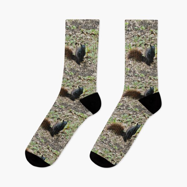 Item preview, Black squirrel designed and sold by Shulie1.
