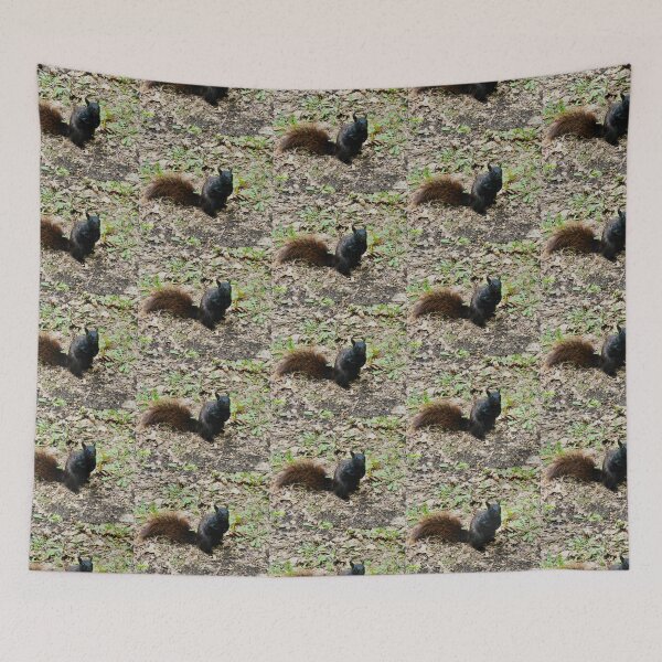 Item preview, Black squirrel designed and sold by Shulie1.