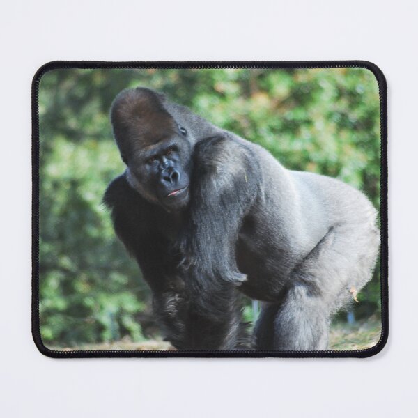 Item preview, Are you talking to me? Are you talkin to ME? designed and sold by Freese.