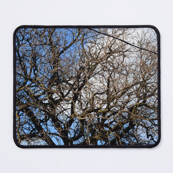 Item preview, Toronto Trees designed and sold by kry.ative.