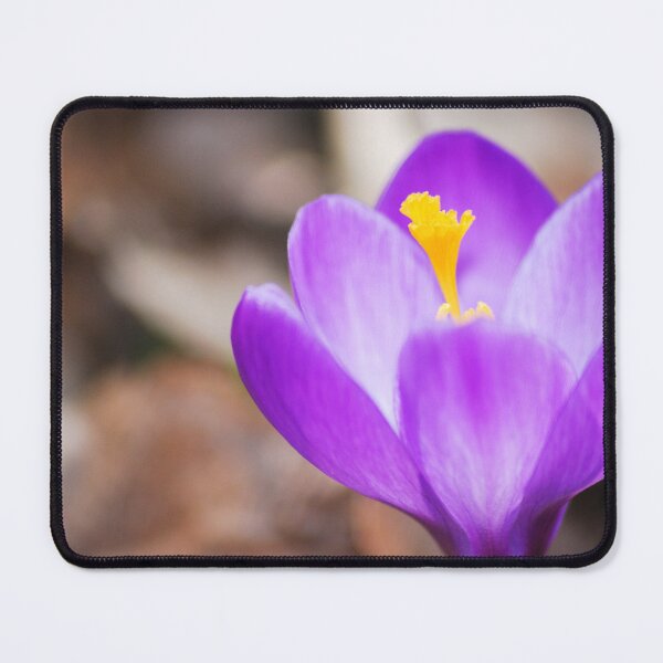 Item preview, Purple Flower designed and sold by Freese.