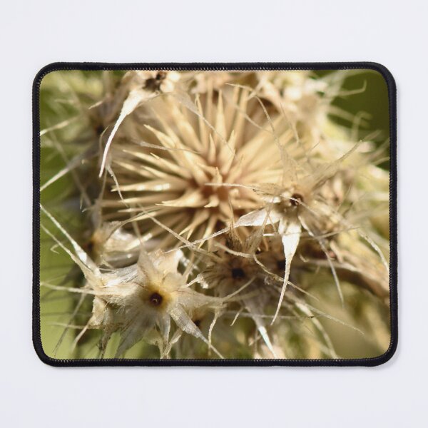 Item preview, Dried but beautiful  designed and sold by Angela Adams.