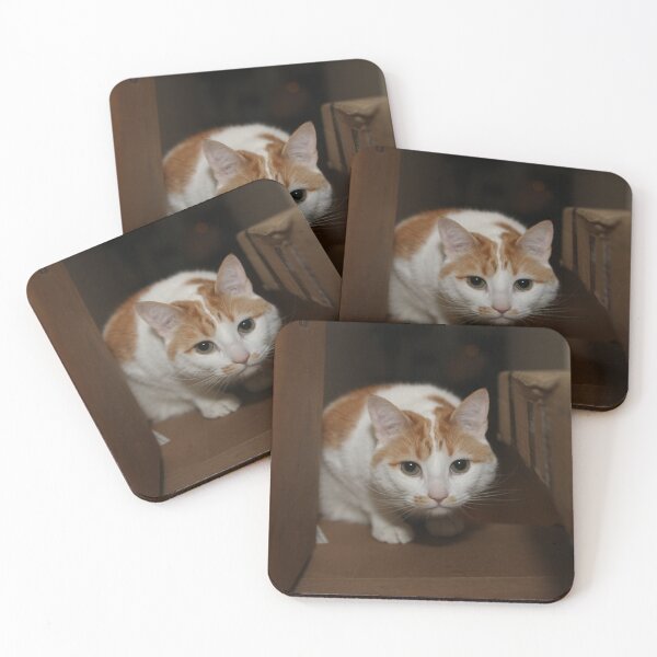 Item preview, Ole designed and sold by beastGP.