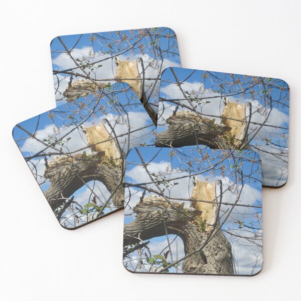 Item preview, Broken Tree designed and sold by Shulie1.