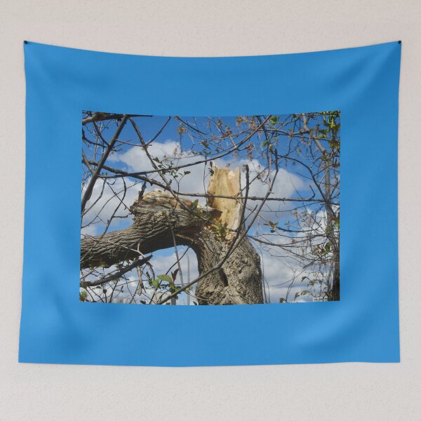 Item preview, Broken Tree designed and sold by Shulie1.