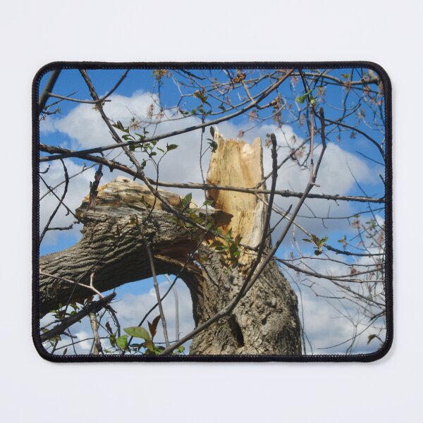 Item preview, Broken Tree designed and sold by Shulie1.