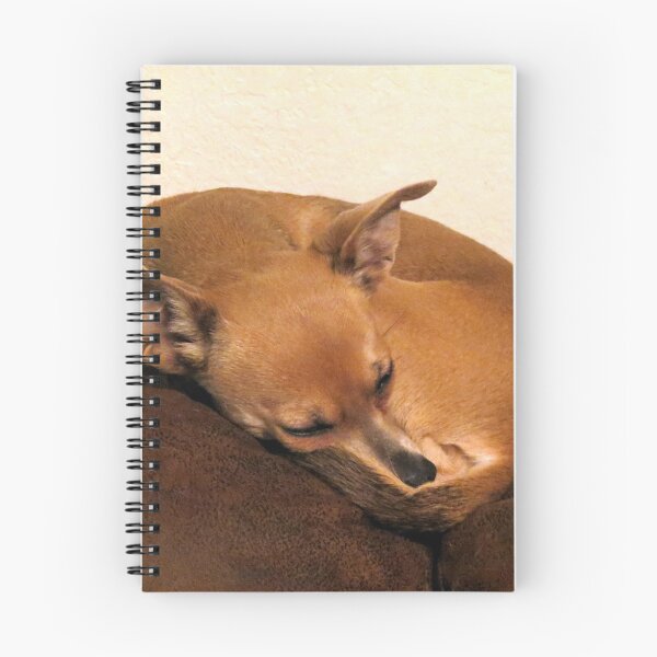 Item preview, Lily designed and sold by Diane Arndt.