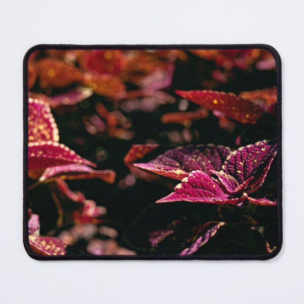 Item preview, Coleus designed and sold by HoneyHuesPhotos.