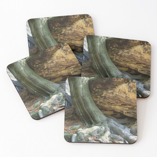 Item preview, A tree, its strong root and sandstone 1 designed and sold by Heidemüllerin.