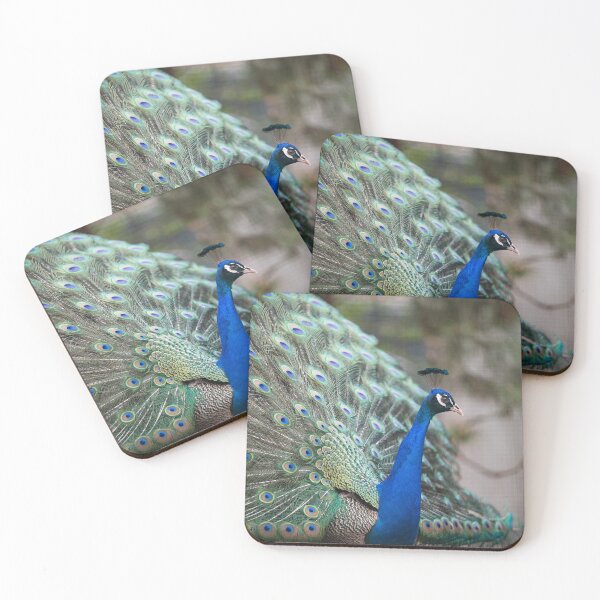 Item preview, plumage of the peacock designed and sold by thompsong03.