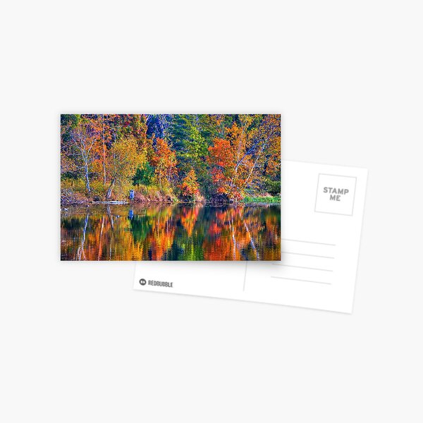 Frank Melville Preserve Fall Colors Postcard