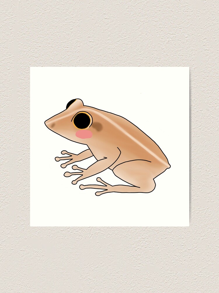 dibujos para imprimir el coqui puerto rico