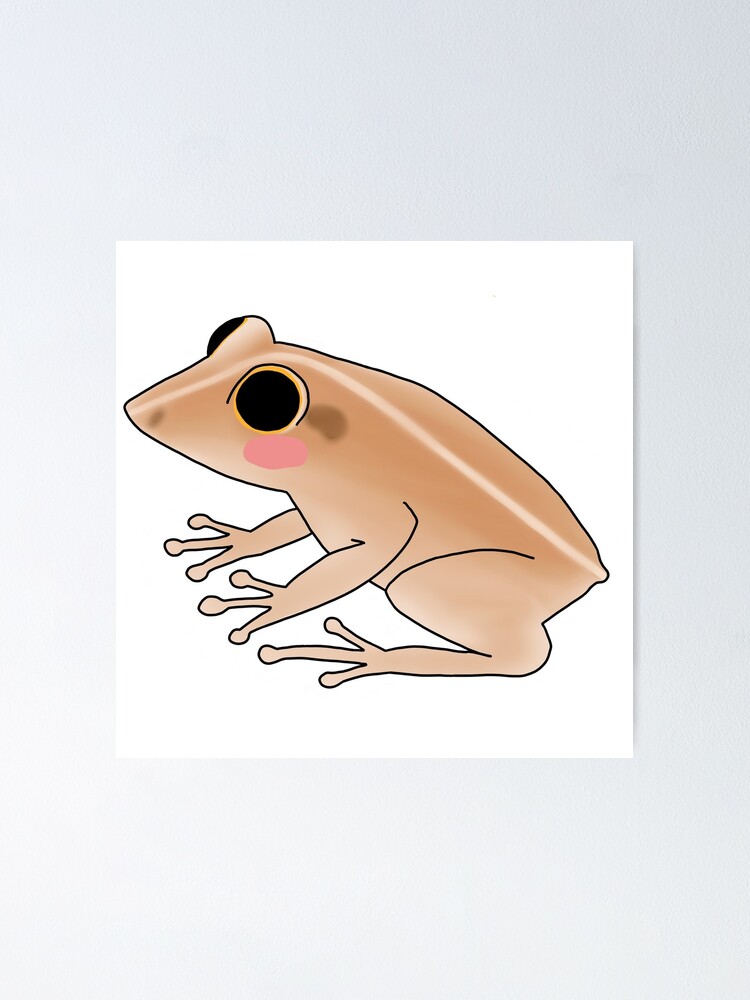 bashful frog