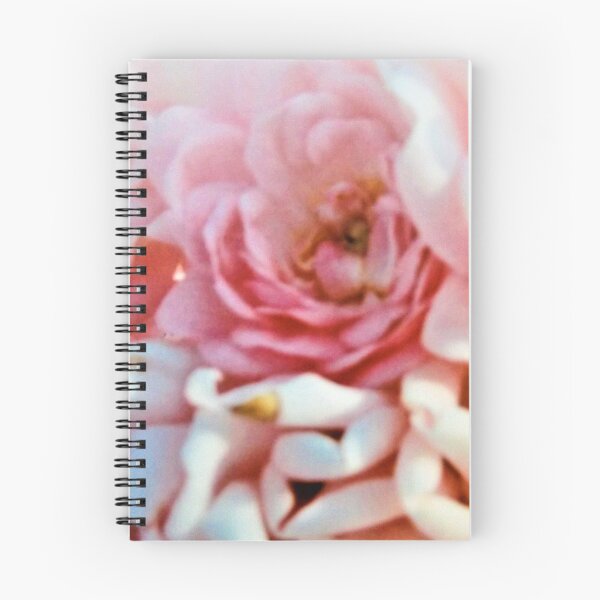 Item preview, Soft Pink Roses designed and sold by Scott and Mary Schneider art_photography.
