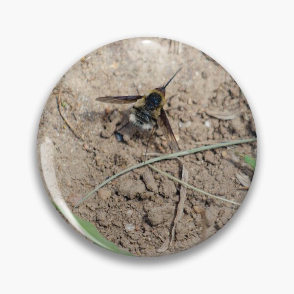 Item preview, Bee taking a rest designed and sold by Shizenkai.