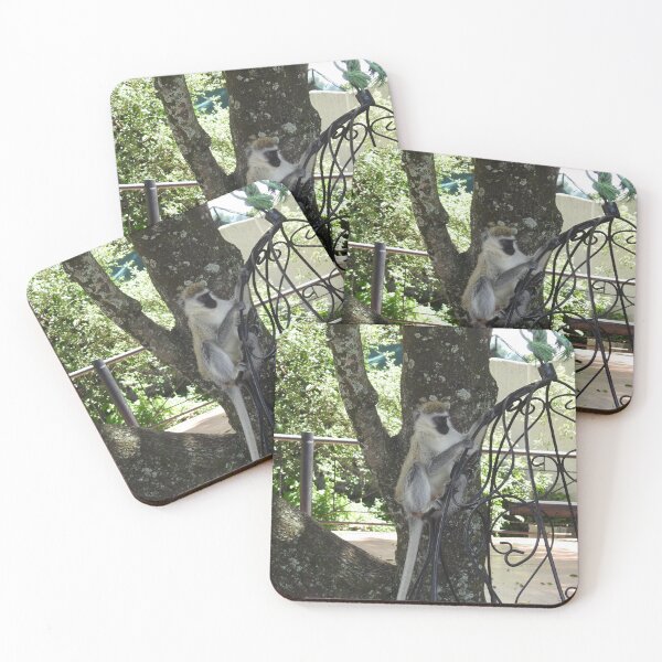 Item preview, Monkey in safari camp designed and sold by Faunagraphy360.
