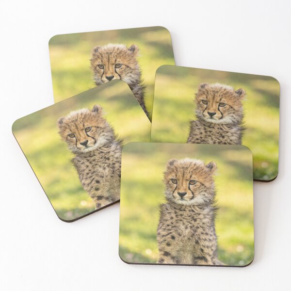 Item preview, Small cheetah, big designed and sold by thompsong03.