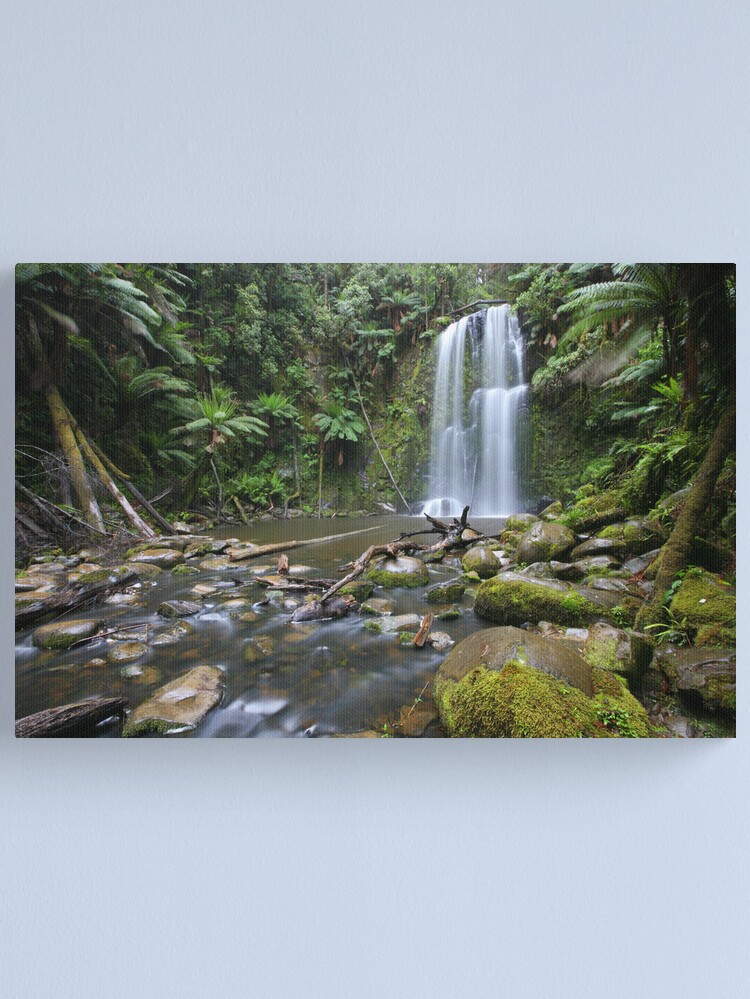 Thumbnail 2 of 3, Canvas Print, Beachamp Falls, Otways National Park, Australia designed and sold by Michael Boniwell.