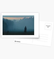 Darcy im Nebel Postkarten