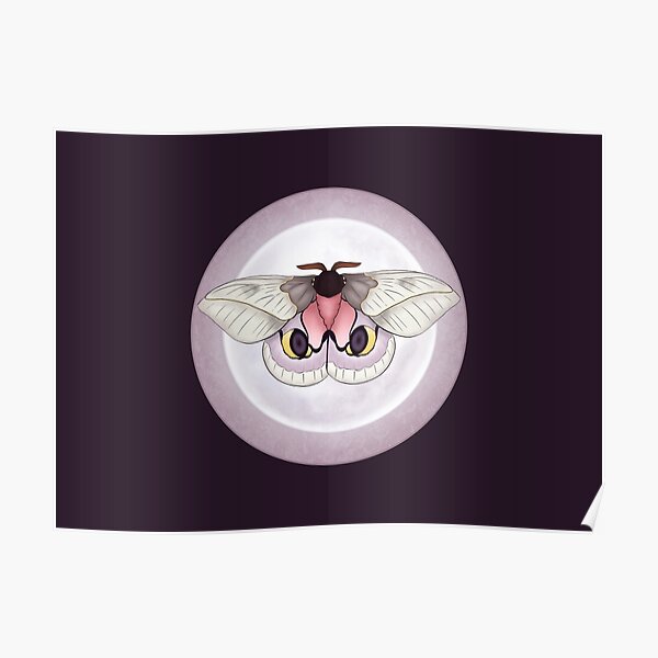 Moon moth Poster